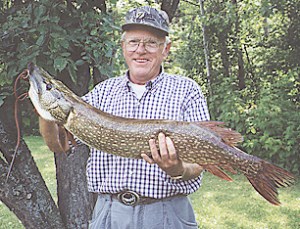 The Flowage has an ample suppy of Norhterns if the Muskies aren't biting!