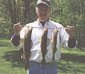 Walleye Fishing